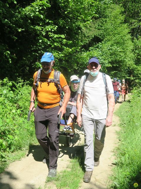 Randonnée joëlettes à Vresse